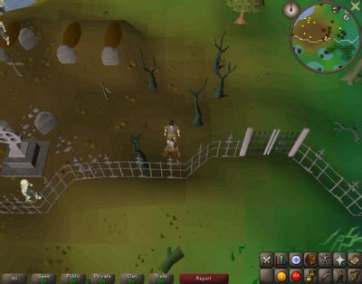 Treasure Trails/Guide/Cryptic clues/Medium .